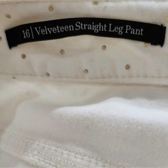 Talbots Velveteen Straight Leg super soft velvet can and gold polka dots Size 16 - Picture 12 of 12